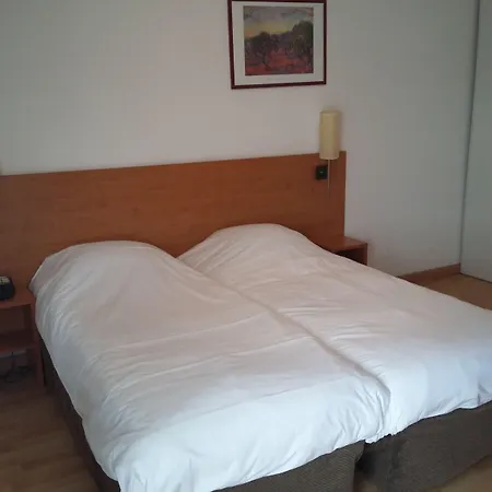 Aparthotel Sejours & Affaires Leonard De Vinci 2*