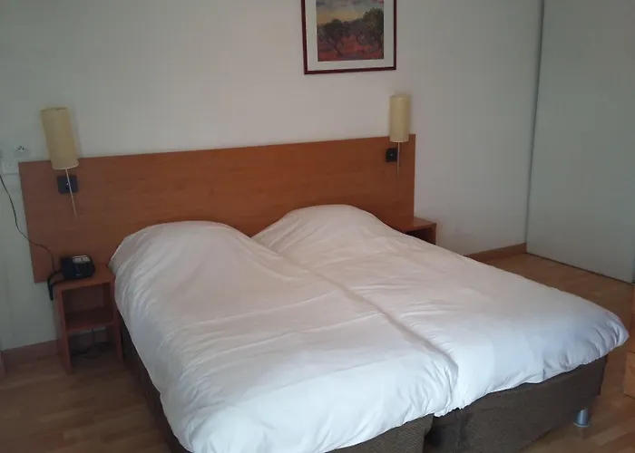 Aparthotel Sejours & Affaires Leonard De Vinci 2*