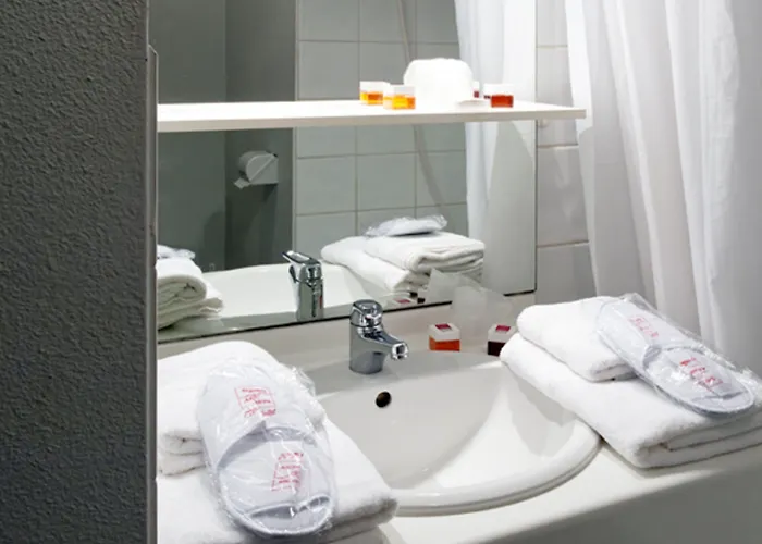 商务旅行及旅游达芬奇酒店 图尔